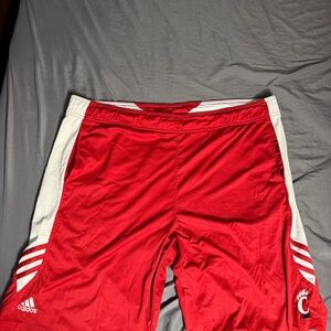 University of Cincinnati Bearcats Adidas Men's Athletic Shorts in Red and White